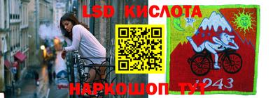 ПСИЛОЦИБИНОВЫЕ ГРИБЫ Дубна