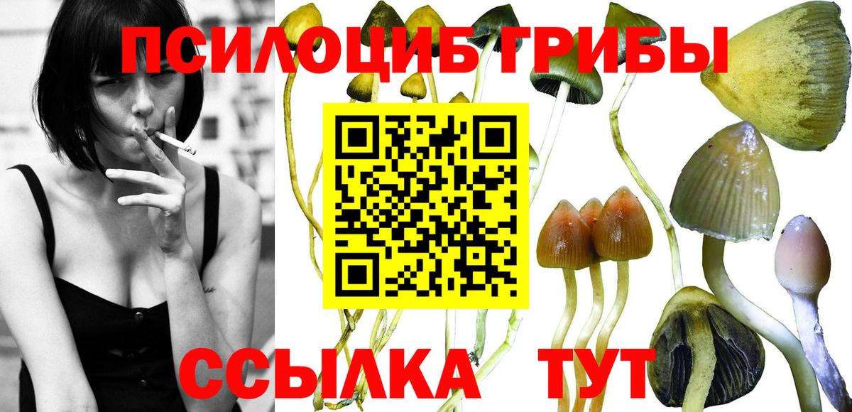 Валуйки  купить   Вход с VPN  Галлюциногенные грибы мухоморы 