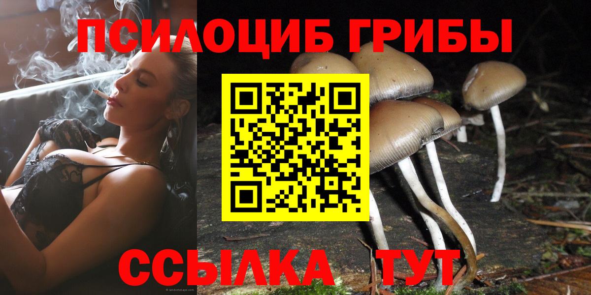Галлюциногенные грибы мицелий Валуйки